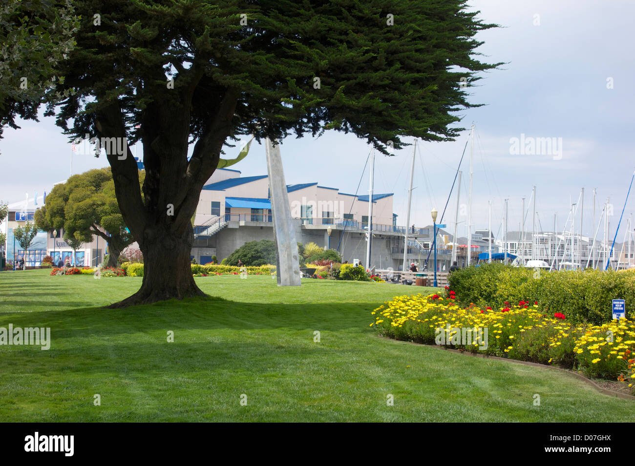 lawn and flower garden near pier 39. san francisco, california stock