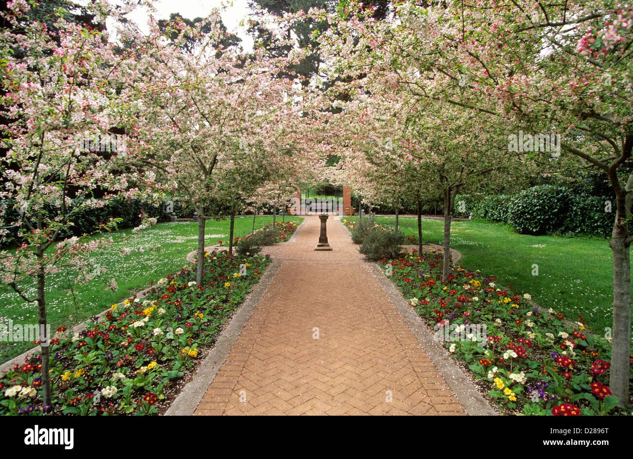 shakespeare garden, golden gate park, san francisco, california, usa