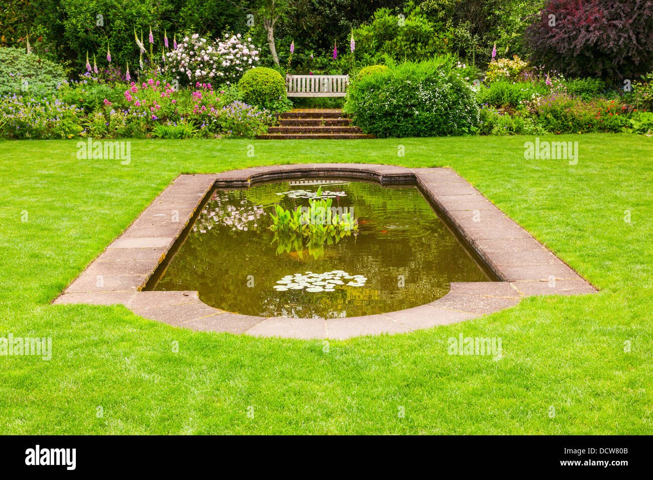 hamilton waikato new zealand stock photos & hamilton waikato new