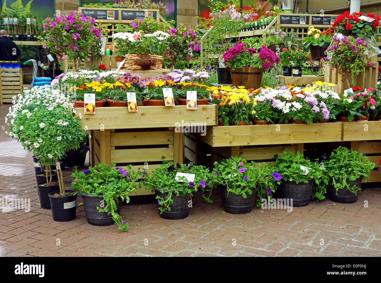 gardening centre stock photos & gardening centre stock images - alamy