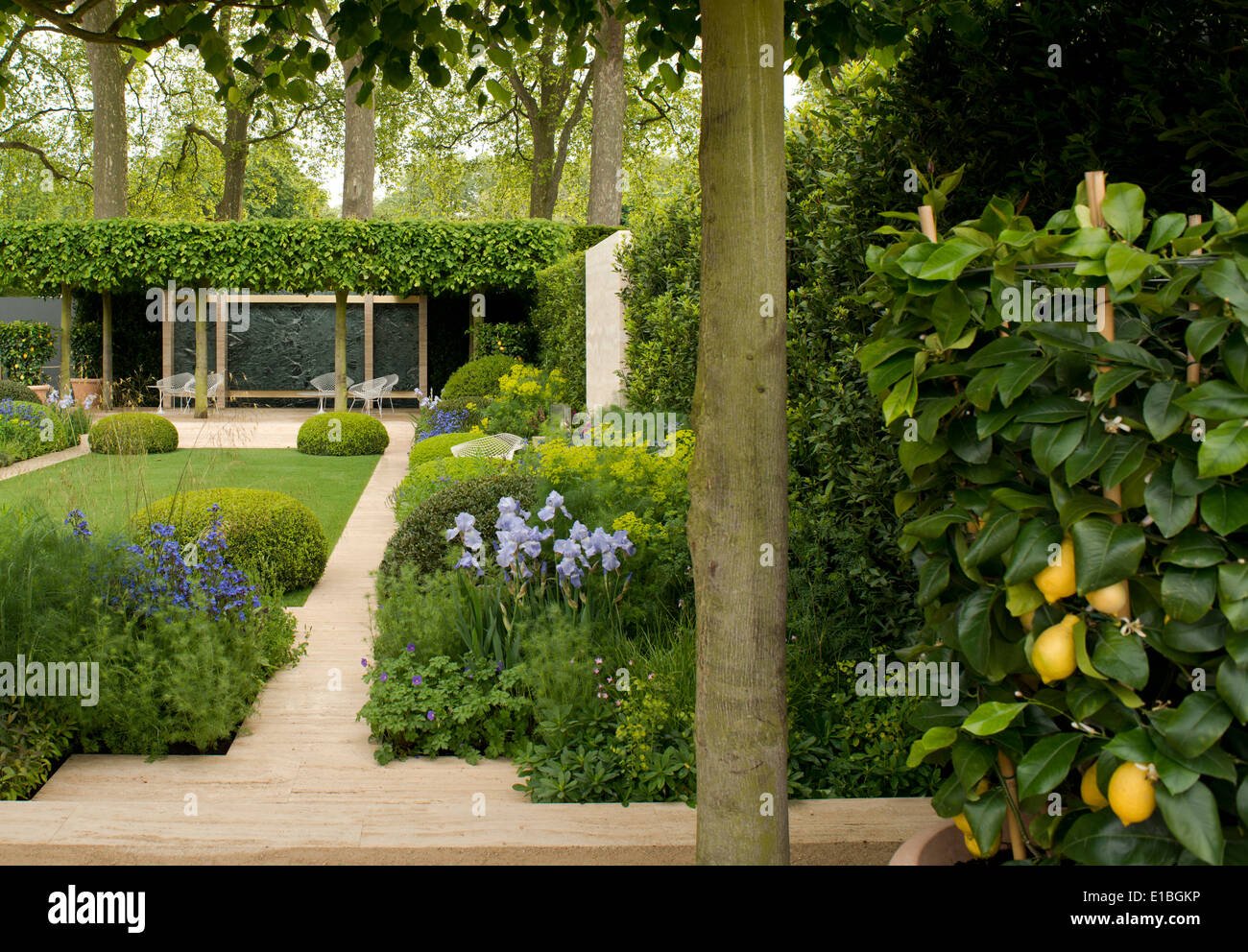the telegraph garden a gold medal winner at the chelsea flower show