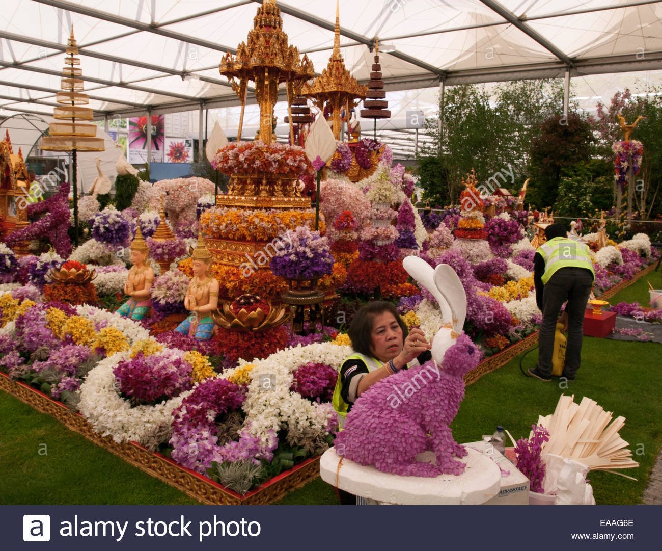 chelsea flower show 2014. thai people finishing the orchid thailand