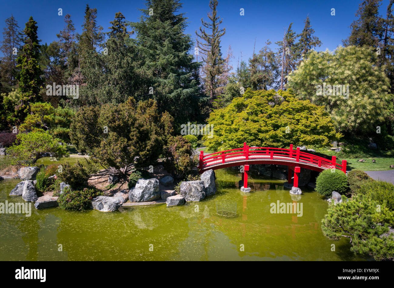 japanese friendship garden, kelley park, san jose, california stock