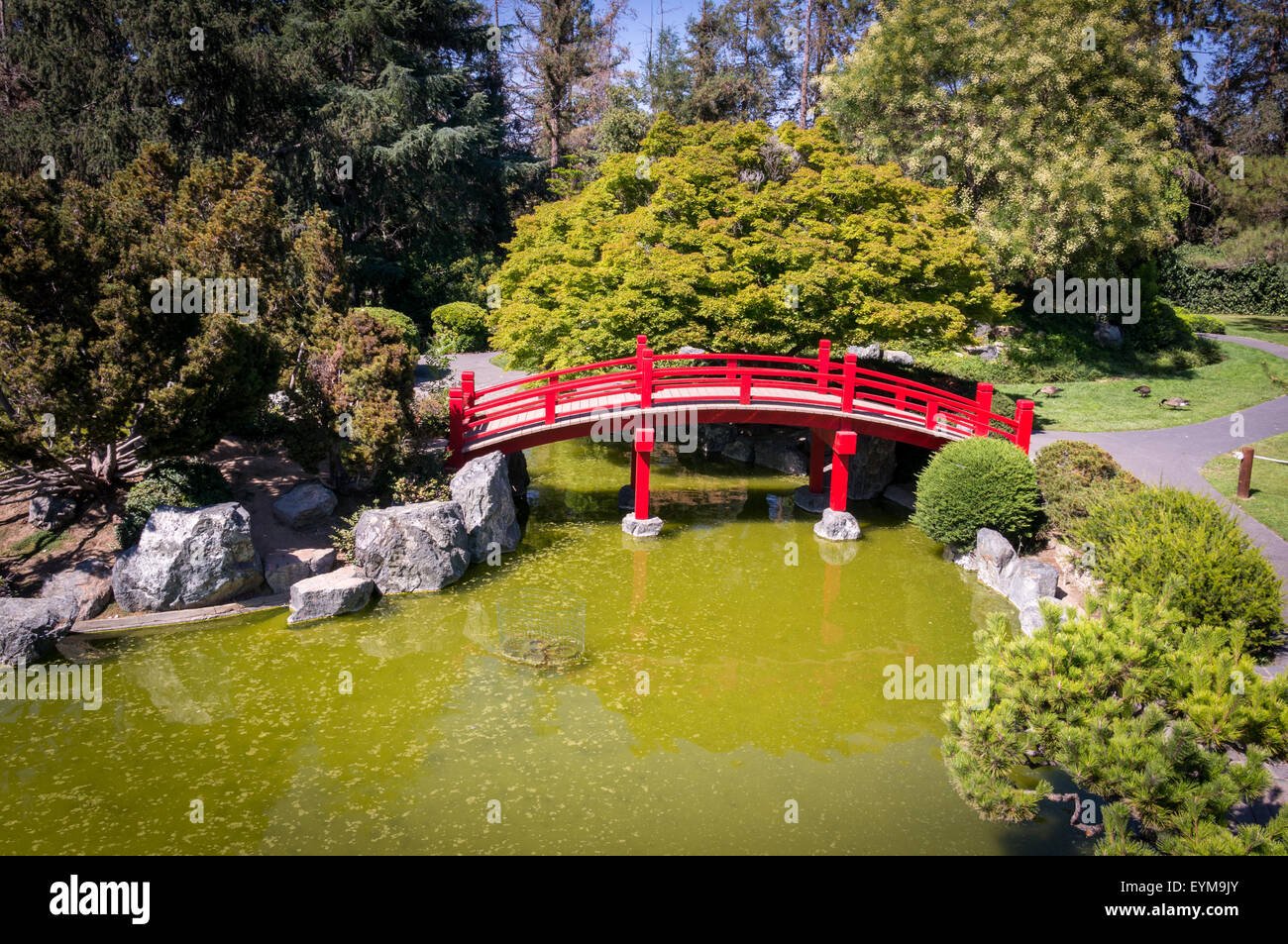 japanese friendship garden, kelley park, san jose, california stock