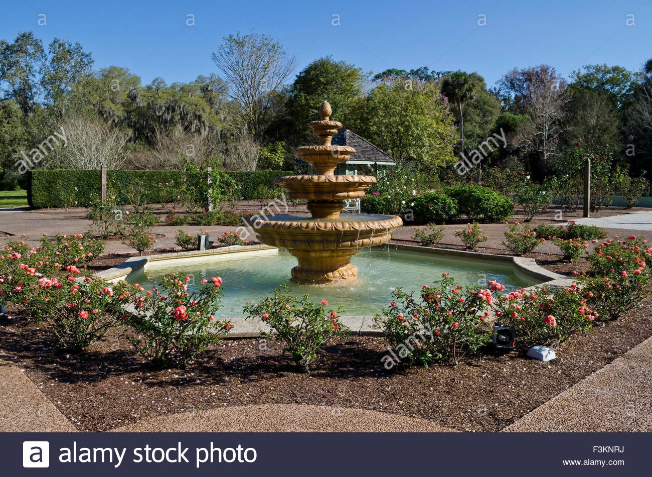 harry p leu gardens stock photos & harry p leu gardens stock images