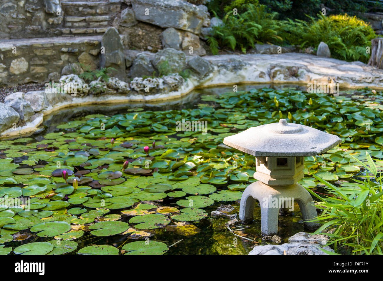 usa, austin, texas, zilker botanical garden, japanese garden, and