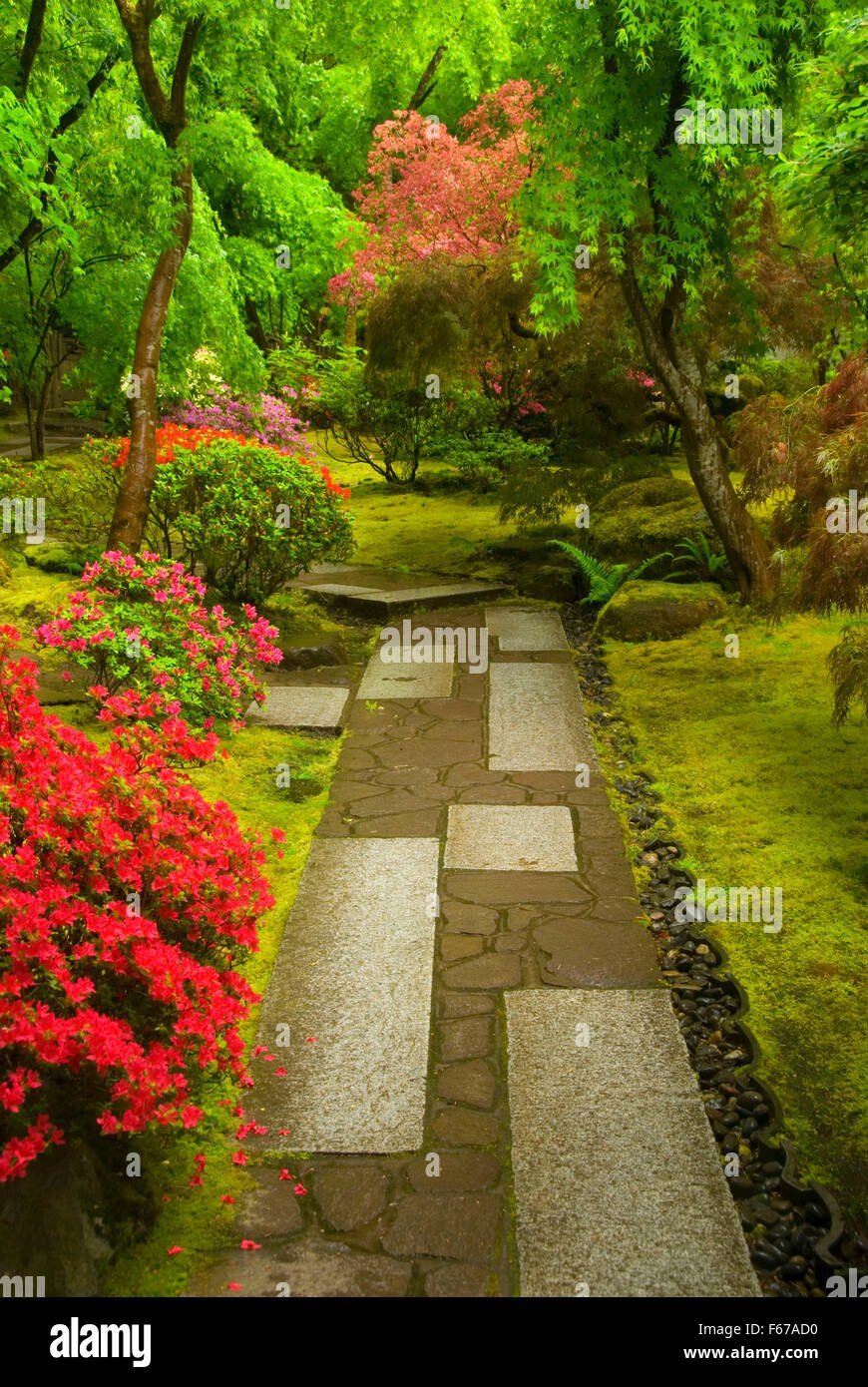 tea garden path, portland japanese garden, washington park, portland