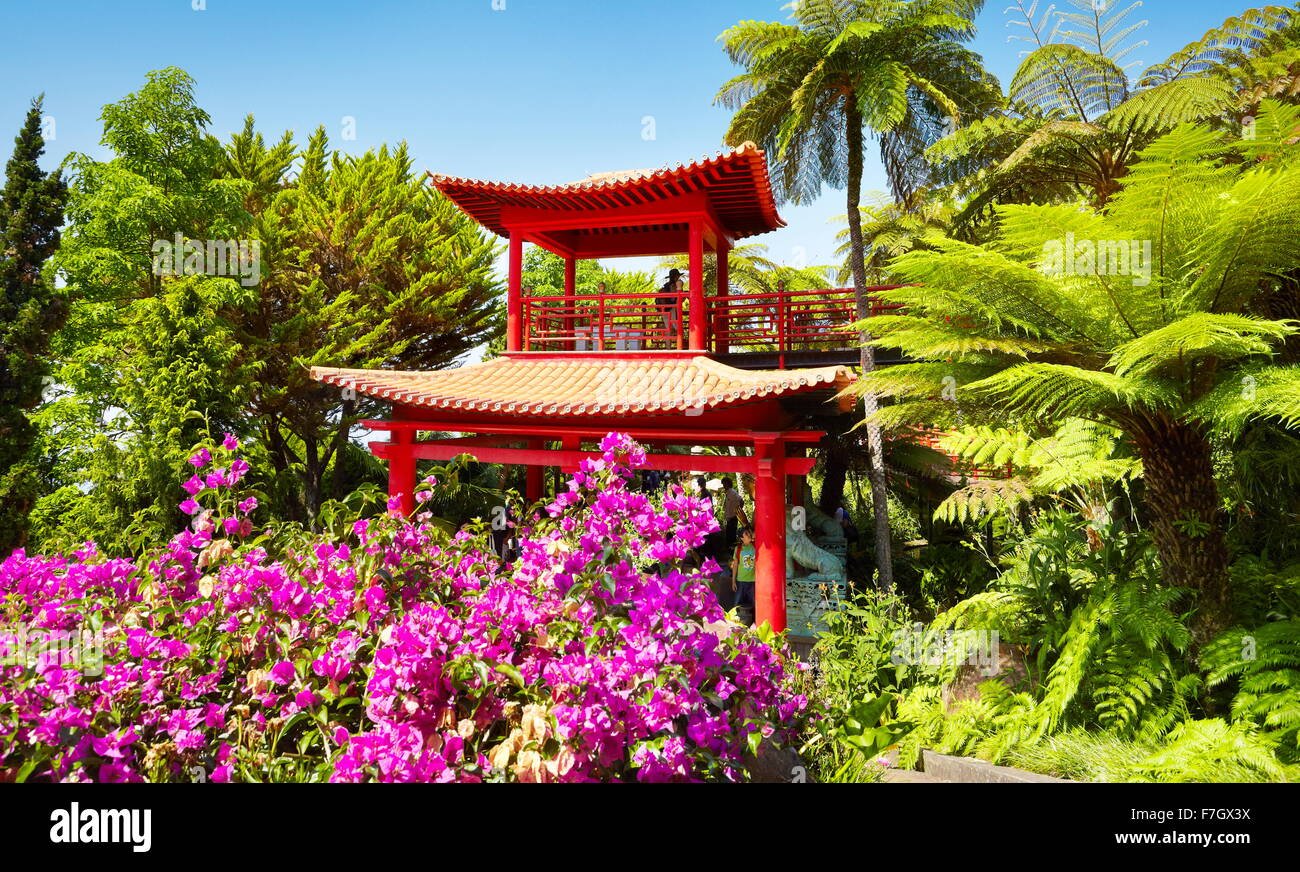 japan japanese oriental flower garden monte palace tropical garden