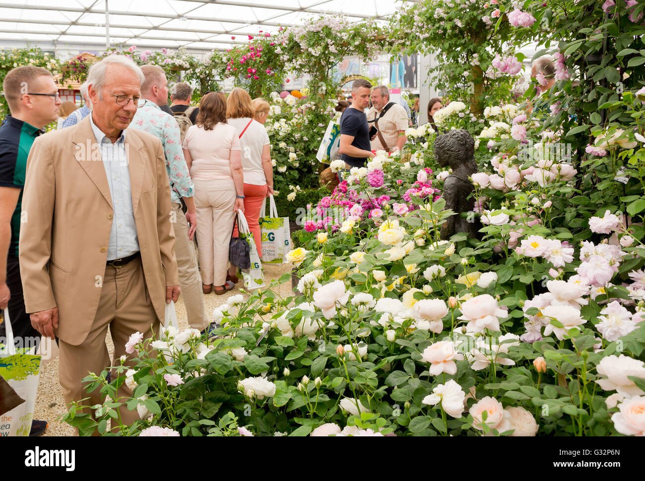 rhs chelsea flower show 2016 great pavilion, david austin rose