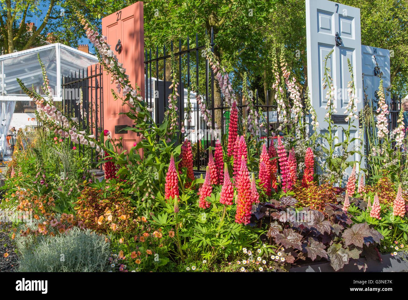 show gardens at rhs chelsea flower show 2016: modern slavery garden