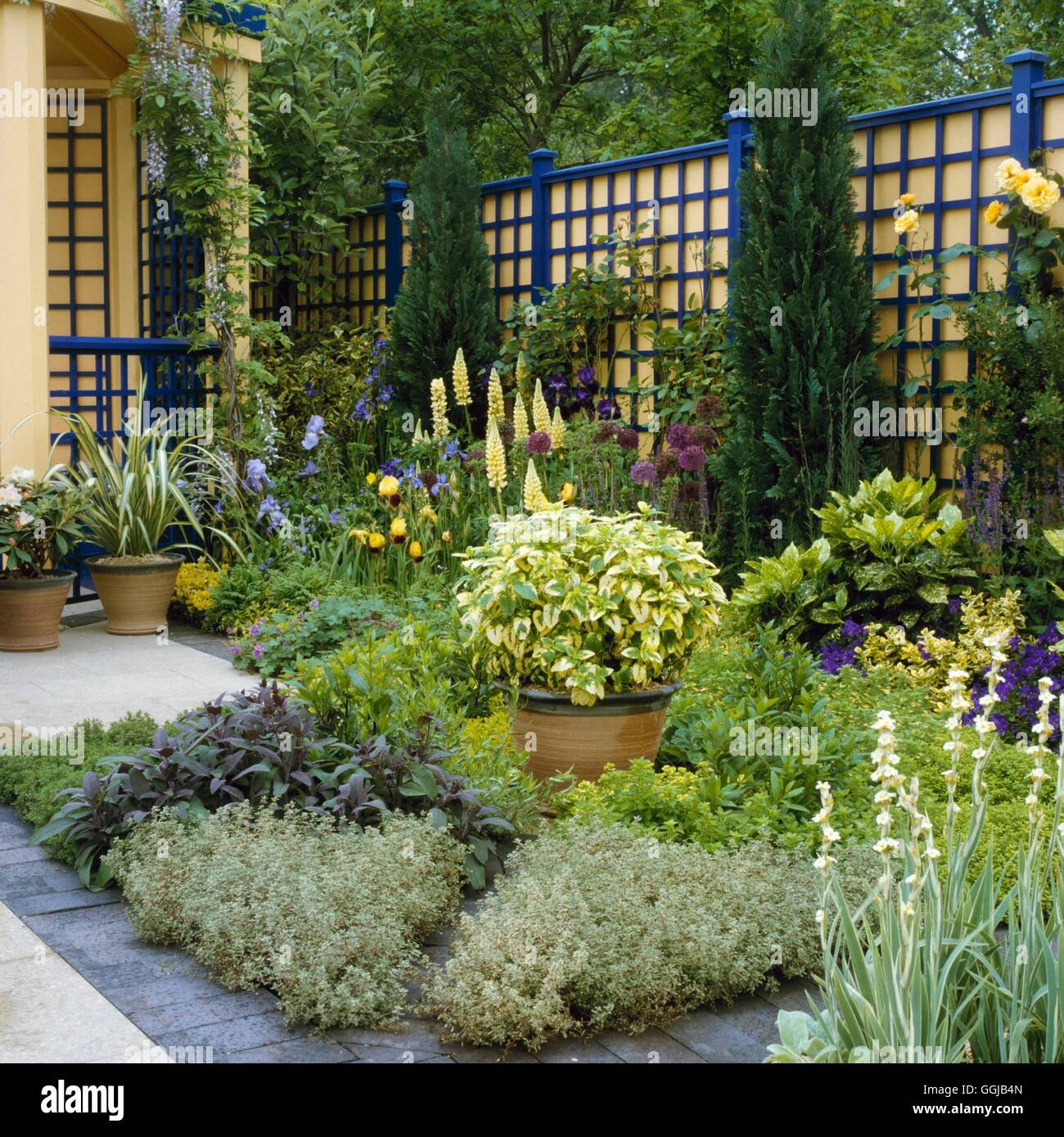 herb garden - low-allergen garden (national astham campaign exhibit