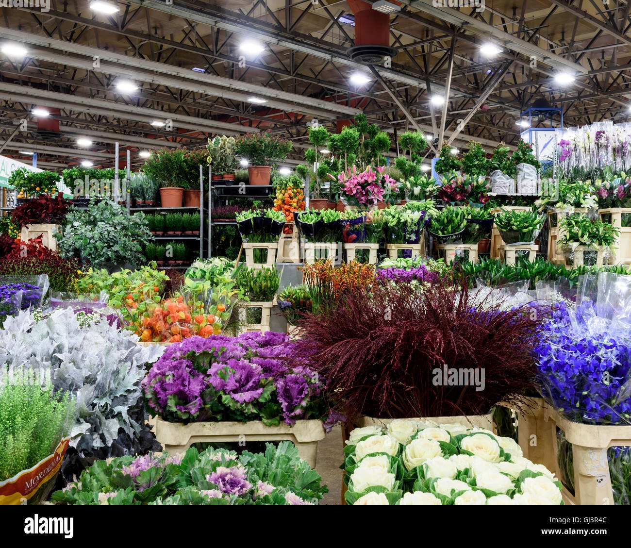 plants in the flower market. new covent garden market, london