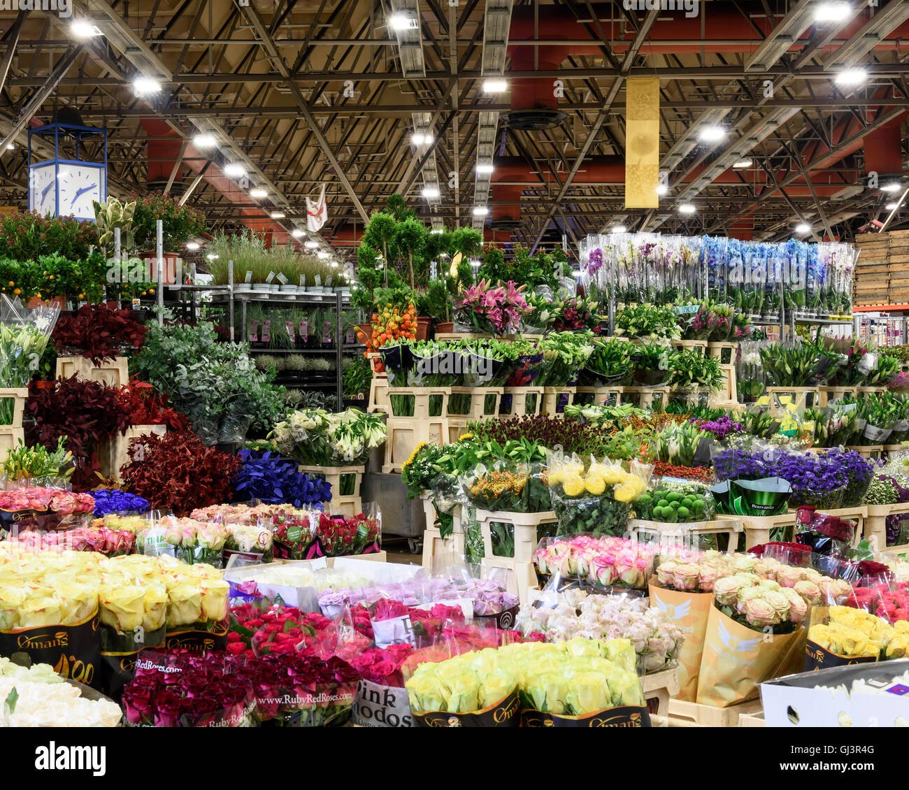 plants in the flower market. new covent garden market, london