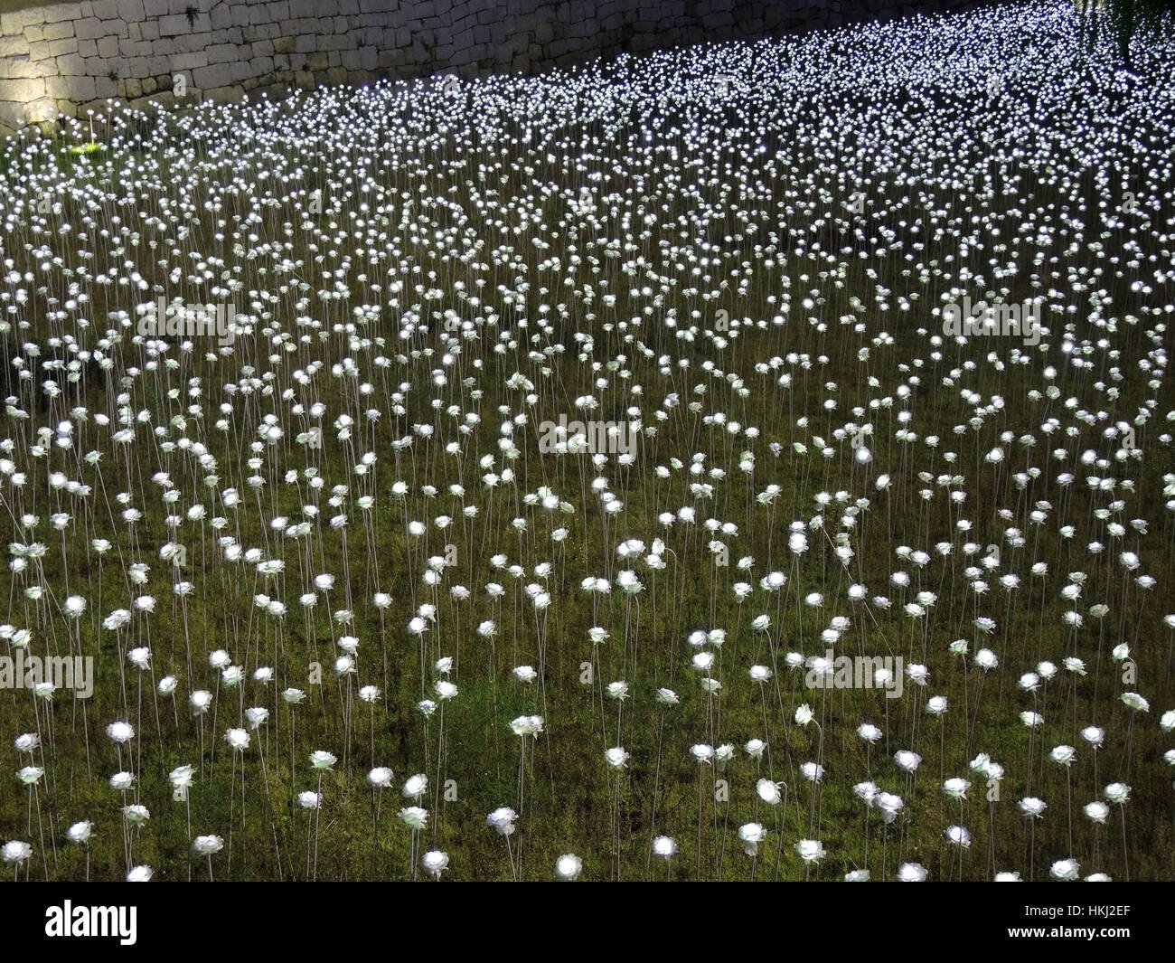 seoul, south korea. - october 27, 2015 : led rose garden at stock