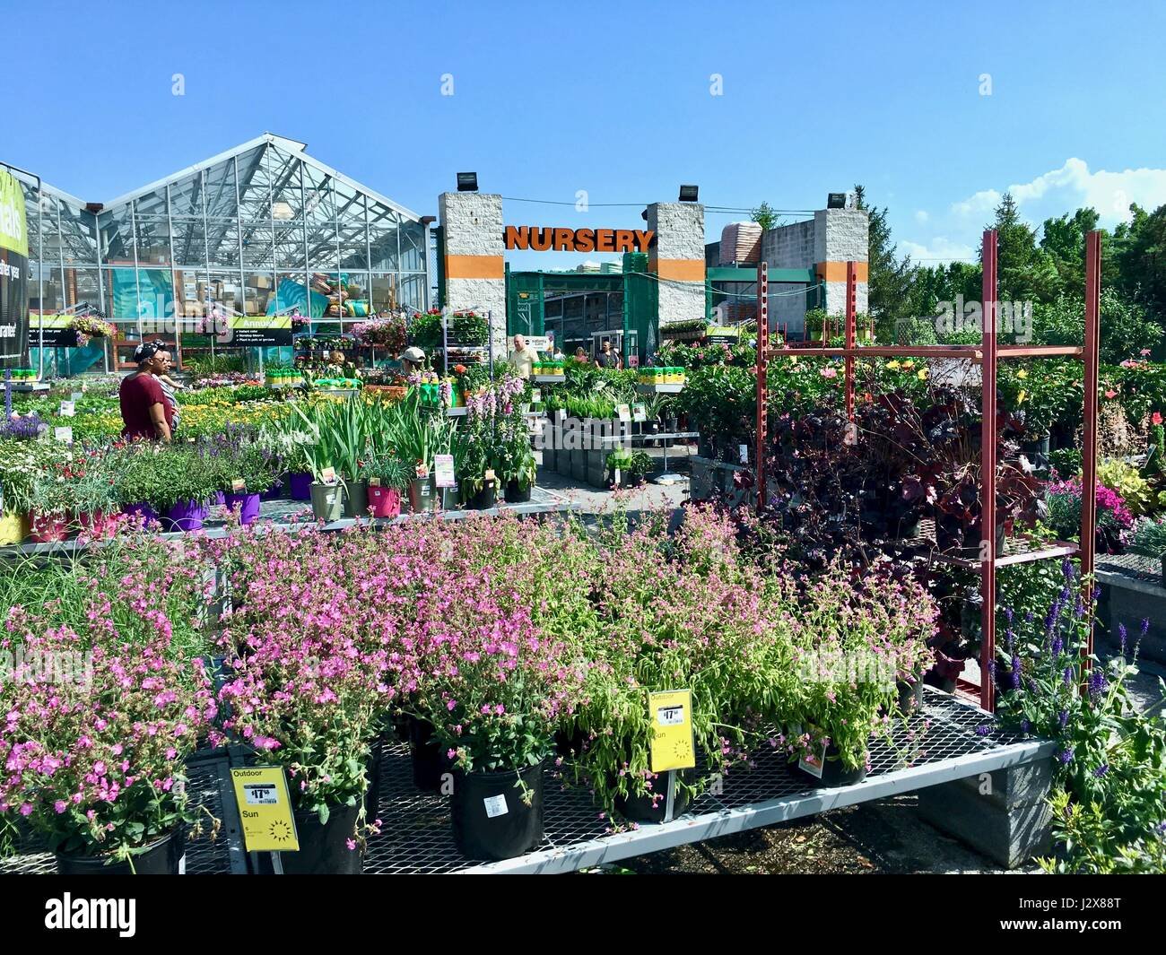 home depot nursery filled with fresh plants, flowers, and gardening
