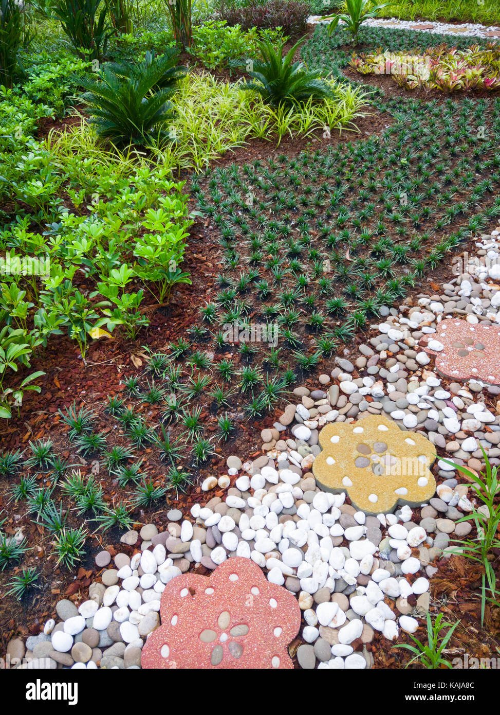 small tropical garden with the stone pathway near the overpass