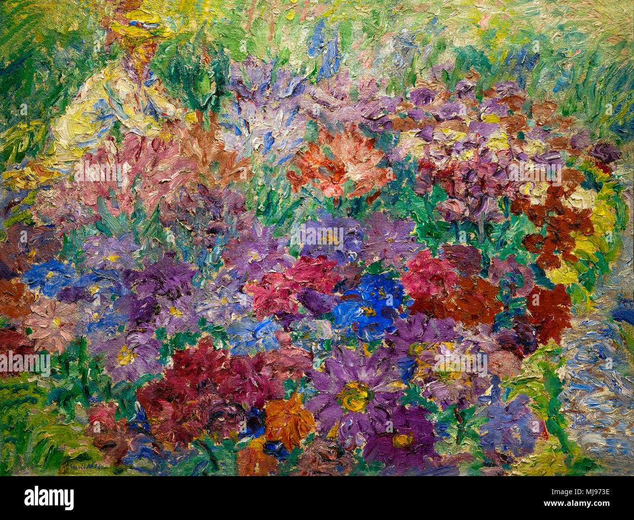 expressionism flower stock photos & expressionism flower stock