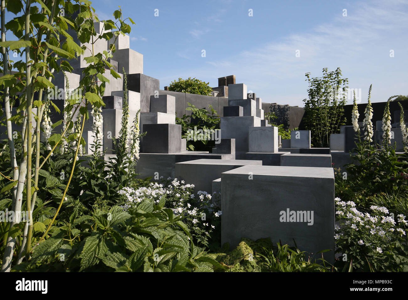 the skin deep garden at the rhs chelsea flower show at the