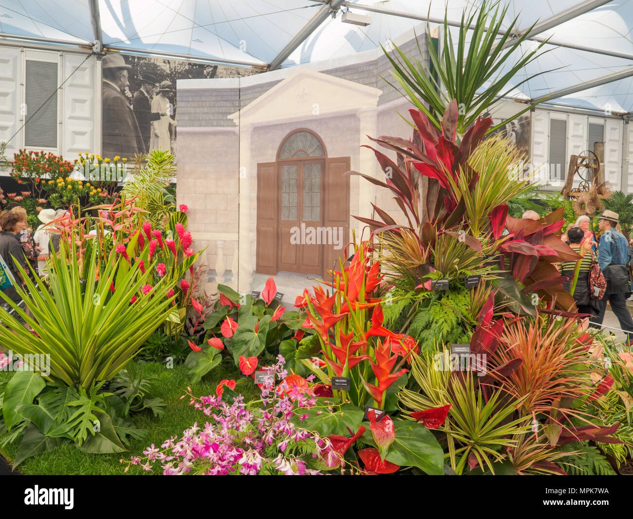 rhs chelsea flower show 2017. a barbados horticultural society