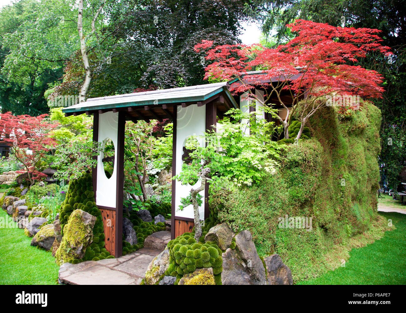 kazuyuki ishihara artisan garden, rhs chelsea flower show 2018 stock