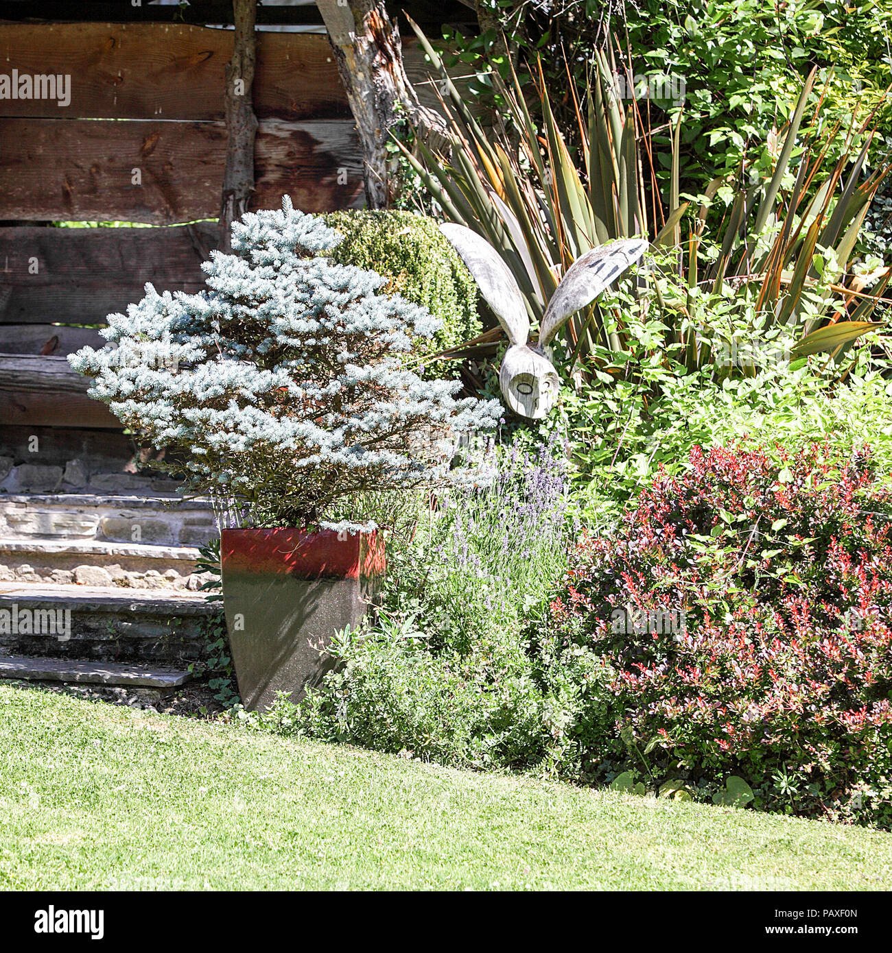 landscaped garden belonging to derwens garden centre in guilsfield