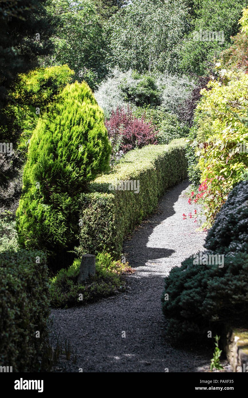 one of the many walkways within the man-made woodland area of