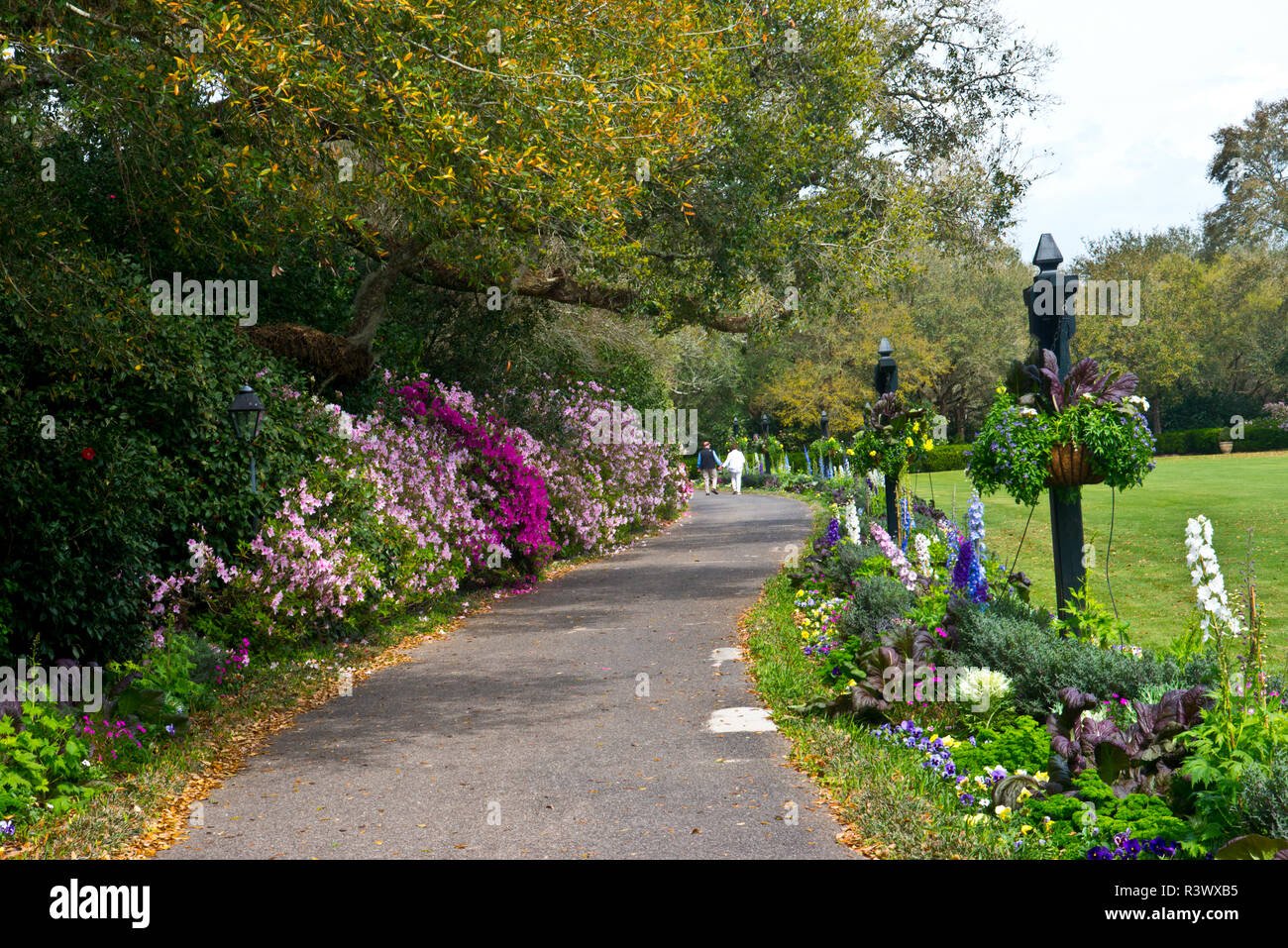 usa, alabama, mobile, bellingrath gardens and home, plantings along