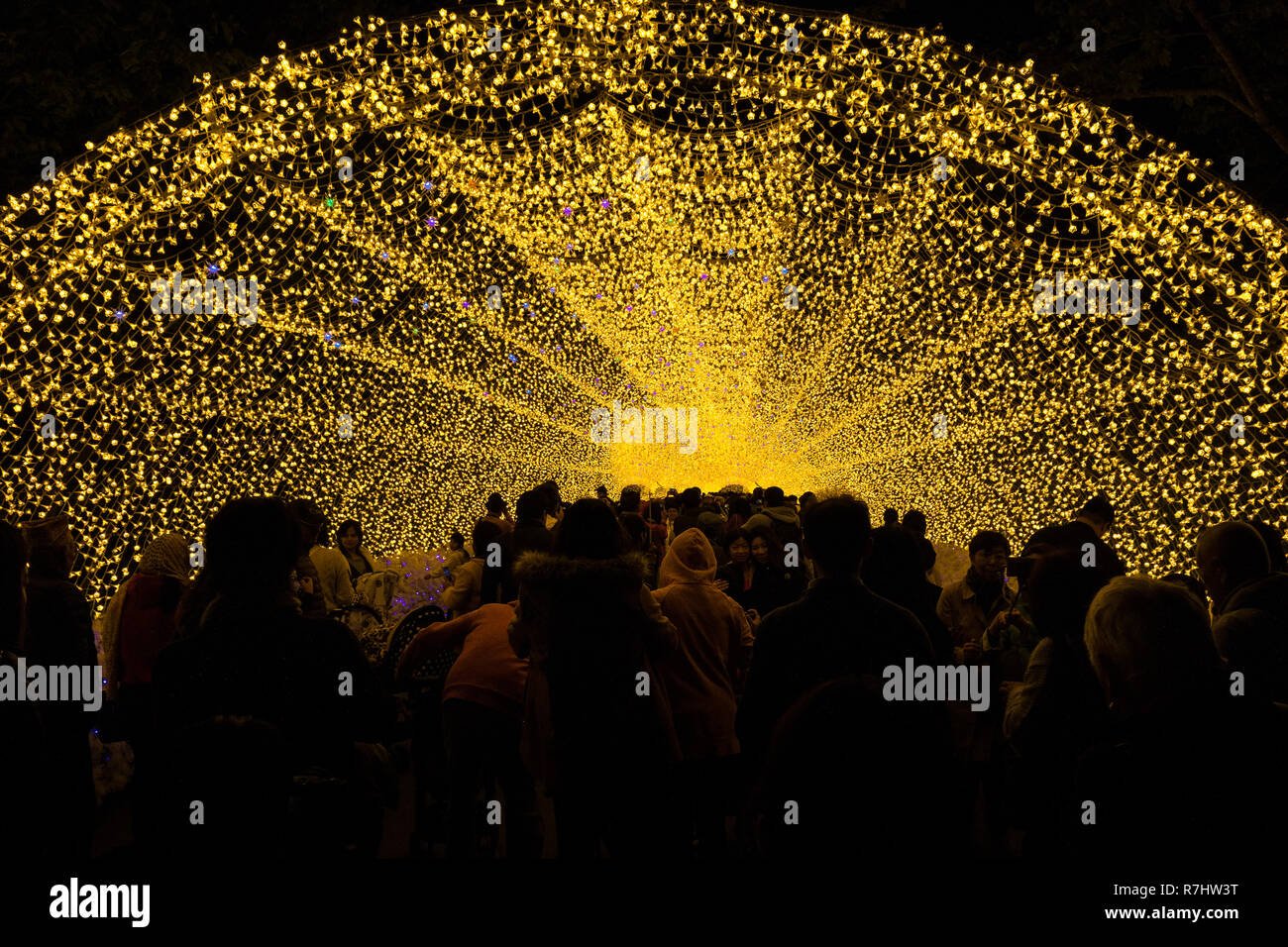 light tunnel at nabana no sato winter illumination. nabana no sato
