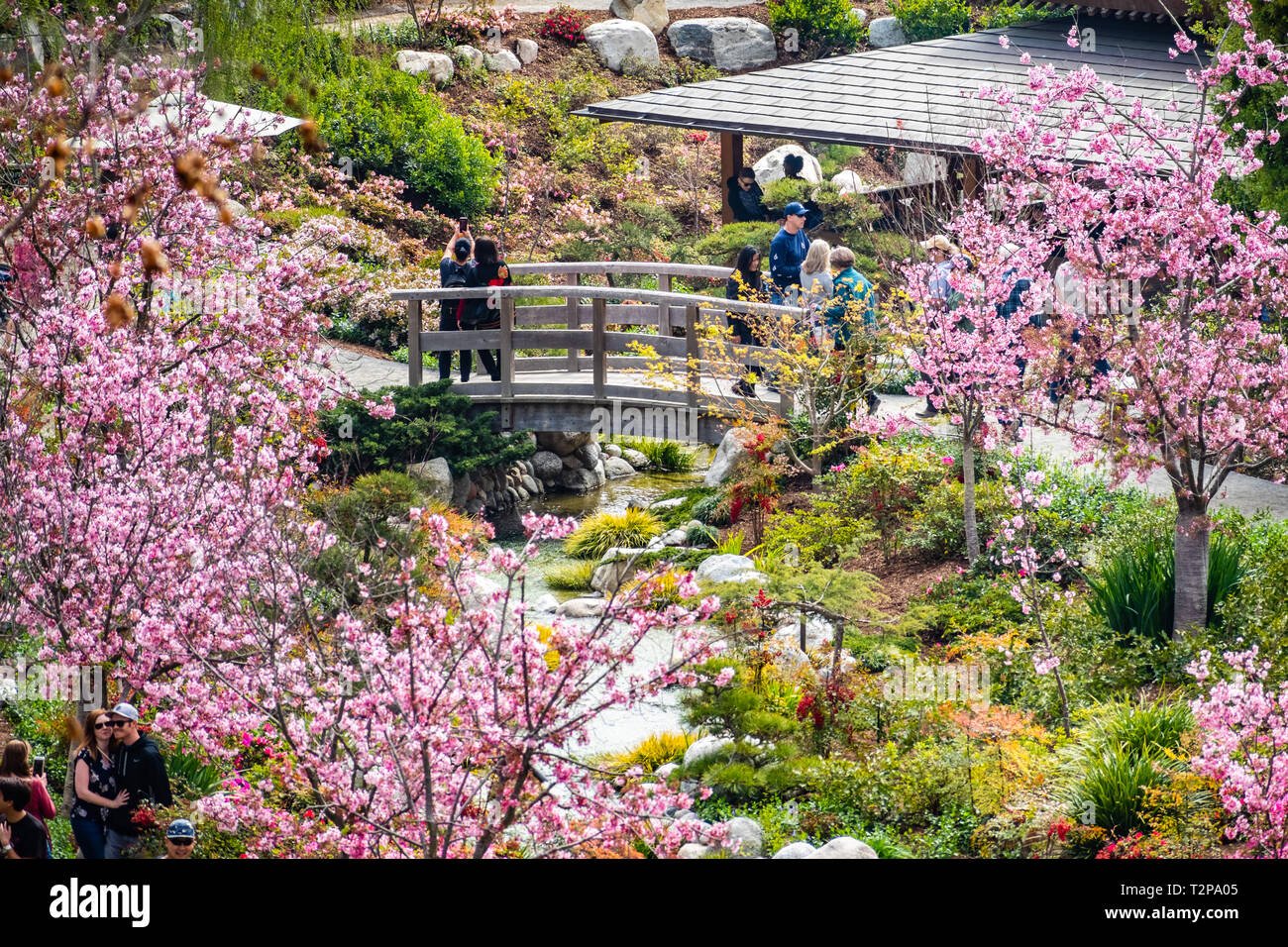 march 19, 2019 san diego / ca / usa - landscape in japanese