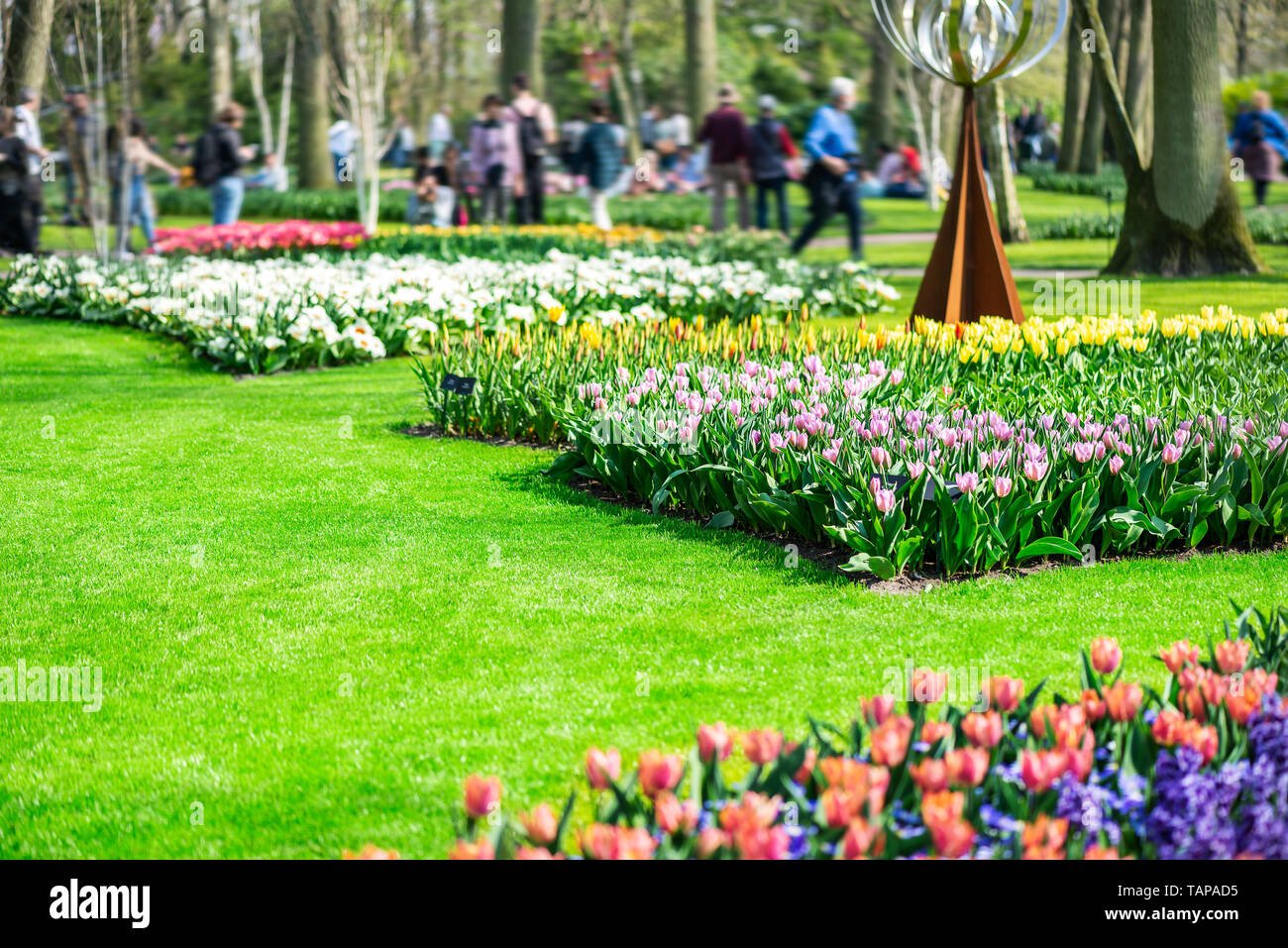 one of the world's largest flower gardens in lisse, the netherlands