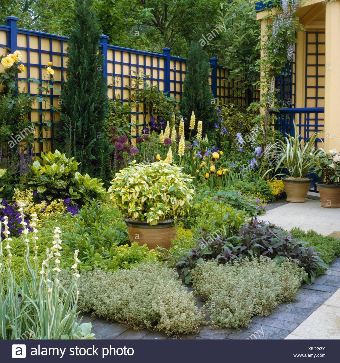 herb garden - low-allergen garden (national astham campaign exhibit