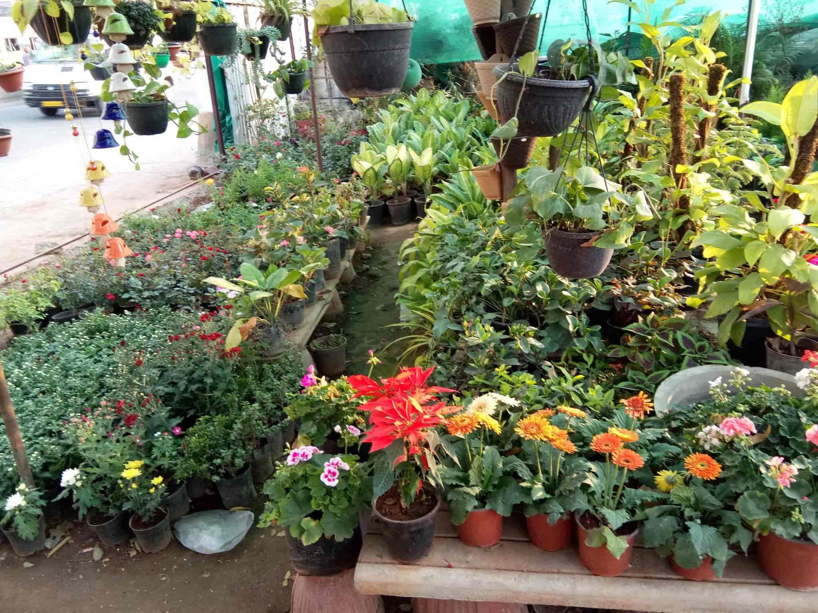indian nursery cement pots and flower plants, kanakapura road