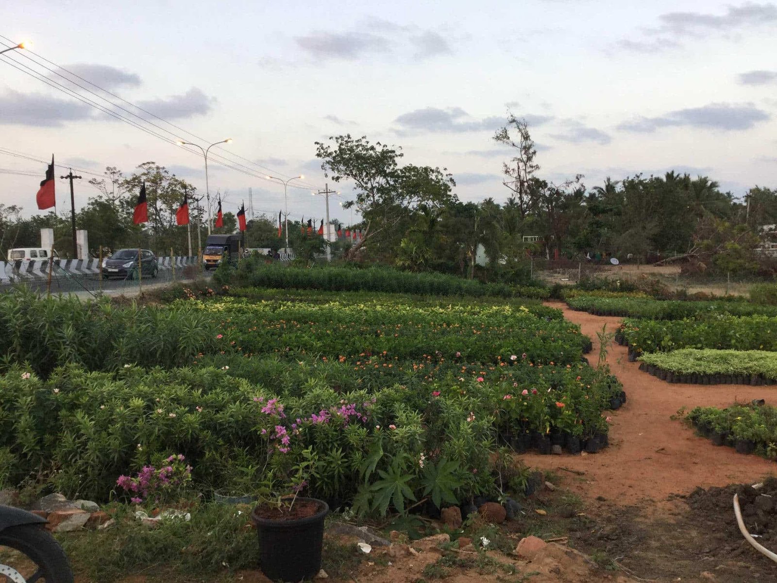 praveen nursary home, sholinganallur - nursery plant hire in chennai
