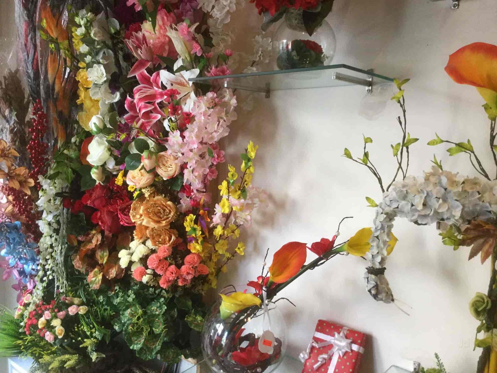 florida garden gateaux photos, gurgaon sector 49, delhi- pictures