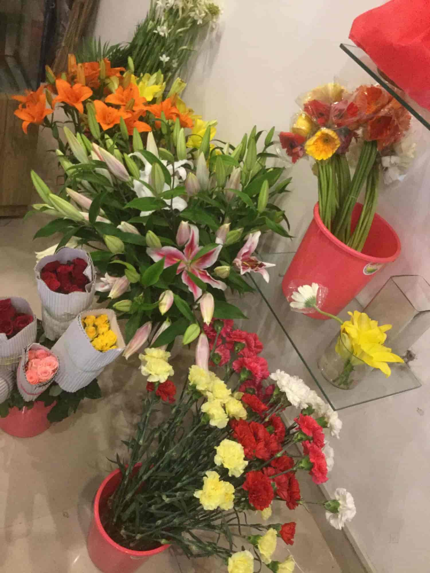 florida garden gateaux photos, sector 49, gurgaon- pictures & images