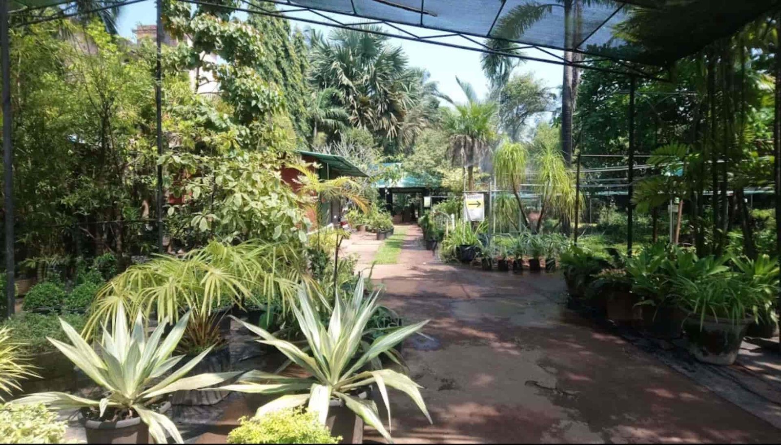mr farmer india pvt ltd, gurim - plant nurseries in goa - justdial
