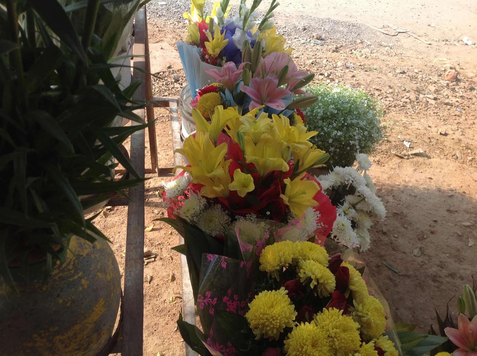 top 10 flower shops near south point mall-gurgaon sector 53 - best