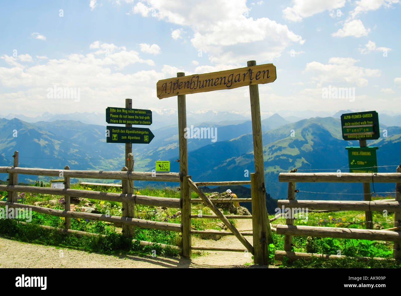 alpenblumengarten / kitzbühel-horn stockfoto, bild: 14924337 - alamy