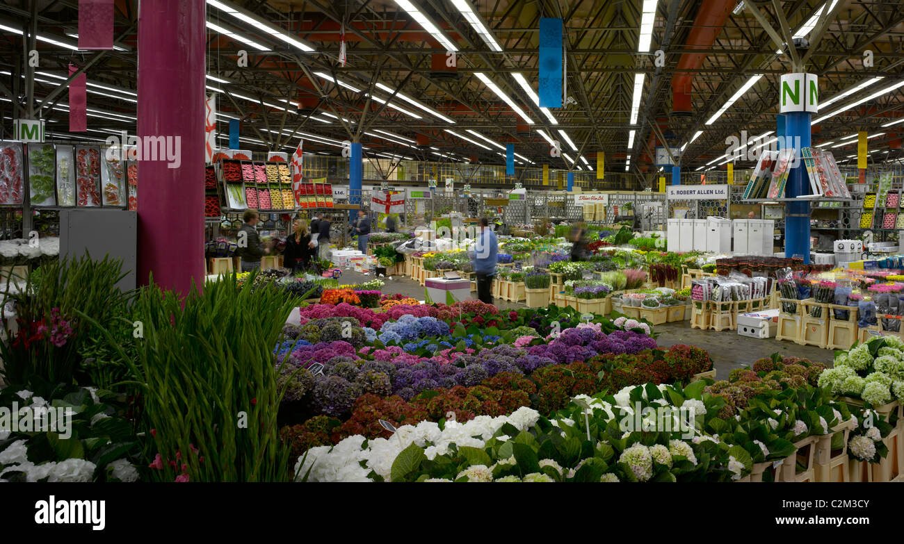 neue londoner covent garden flower market, neun ulmen stockfoto