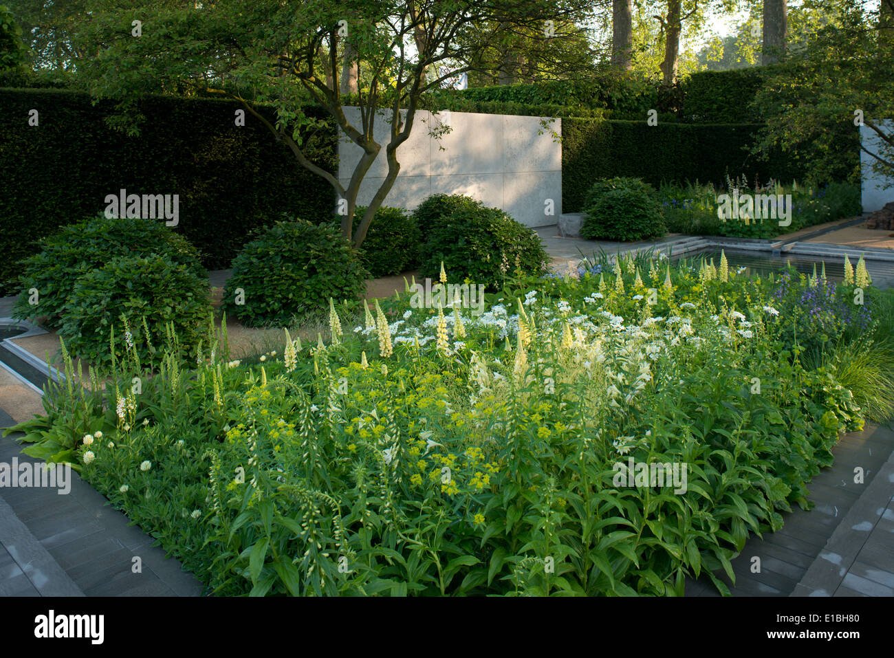 die laurent-perrier auf der rhs chelsea flower show 2014, sieger der