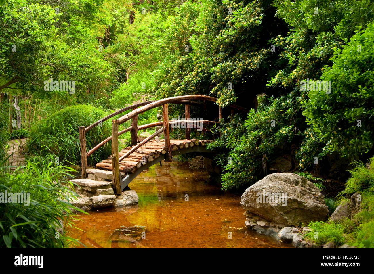 gartenbrücke, zilker botanical garden, austin, texas stockfoto, bild