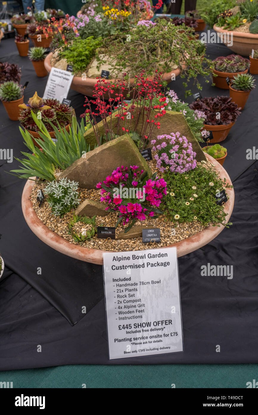 cardiff, wales, uk. 04/12/2019 rhs flower show cardiff stockfoto
