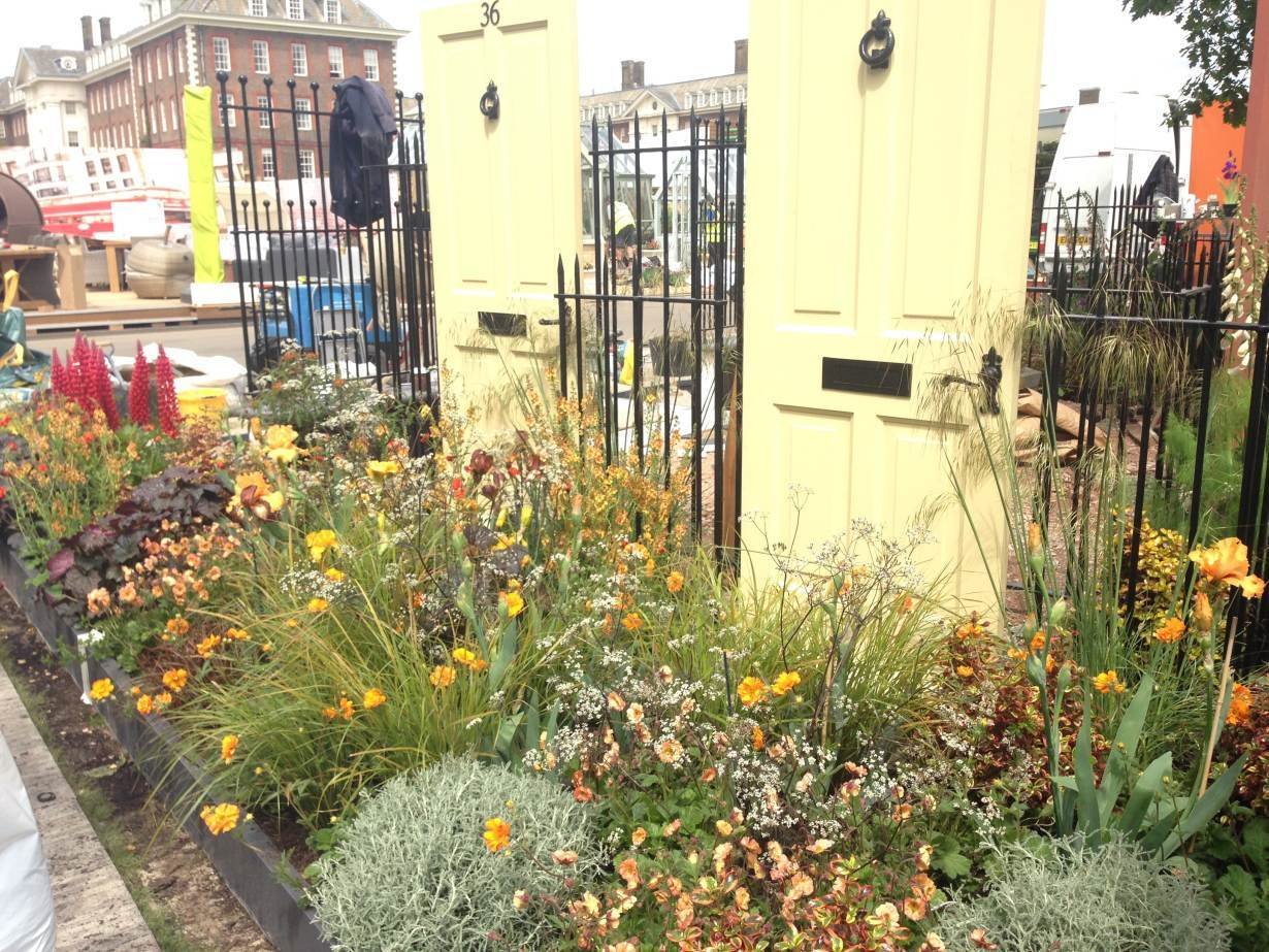 first 'modern slavery garden' blooms at chelsea flower show