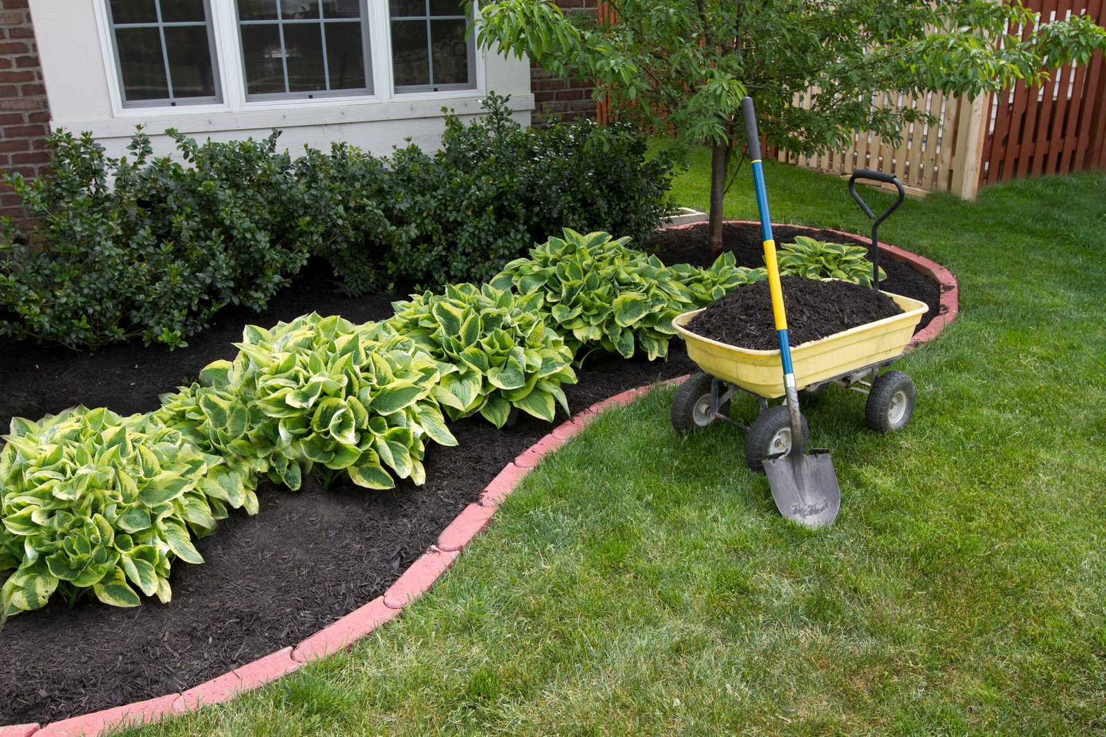 should i buy topsoil or potting soil for my flower & vegetable