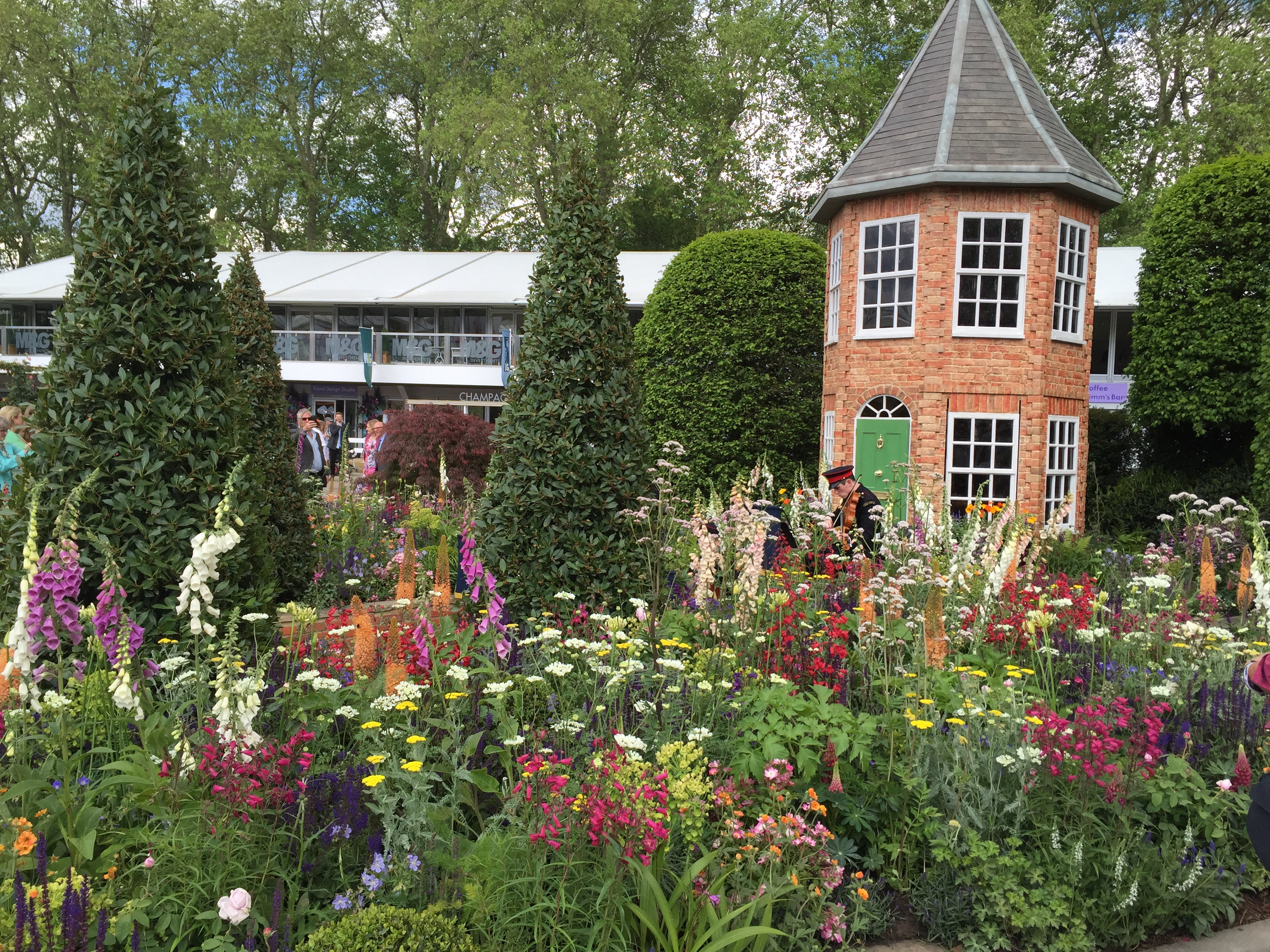 chelsea flower show 2016: in pictures - saga