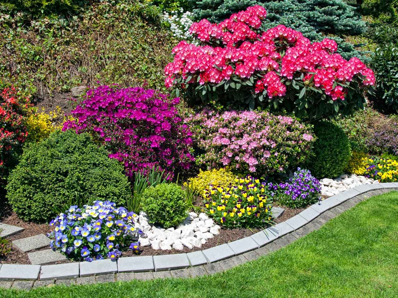 choosing a colour scheme for your garden - saga
