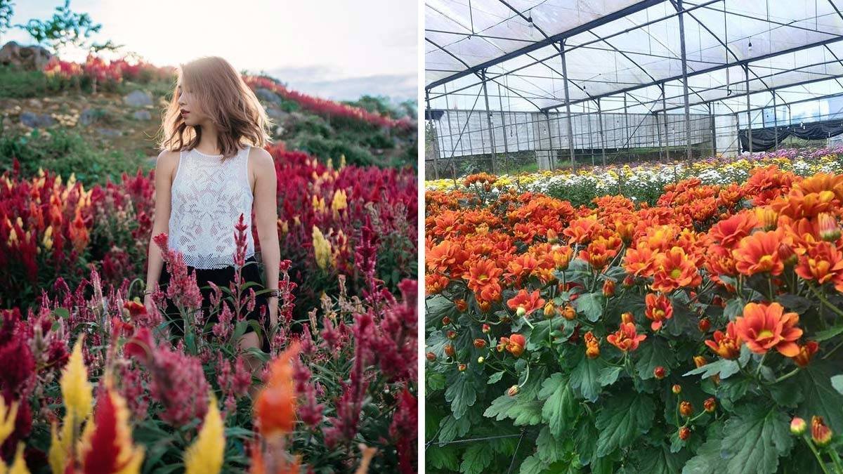 floral places in the philippines