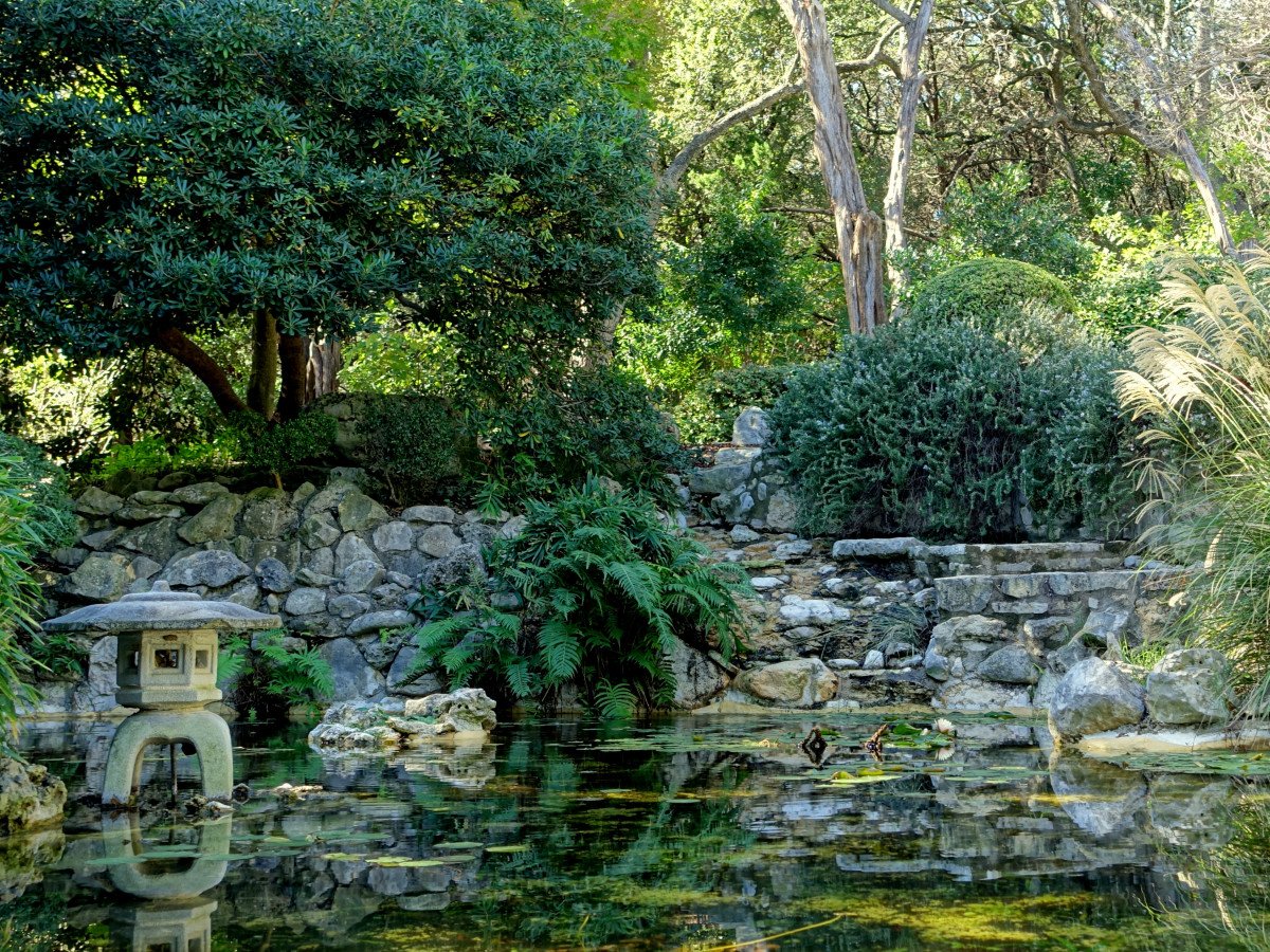 uncover this tranquil japanese garden hidden in the heart of austin