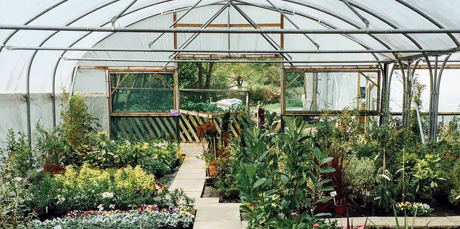 11 best dallas garden and nursery stores | expertise
