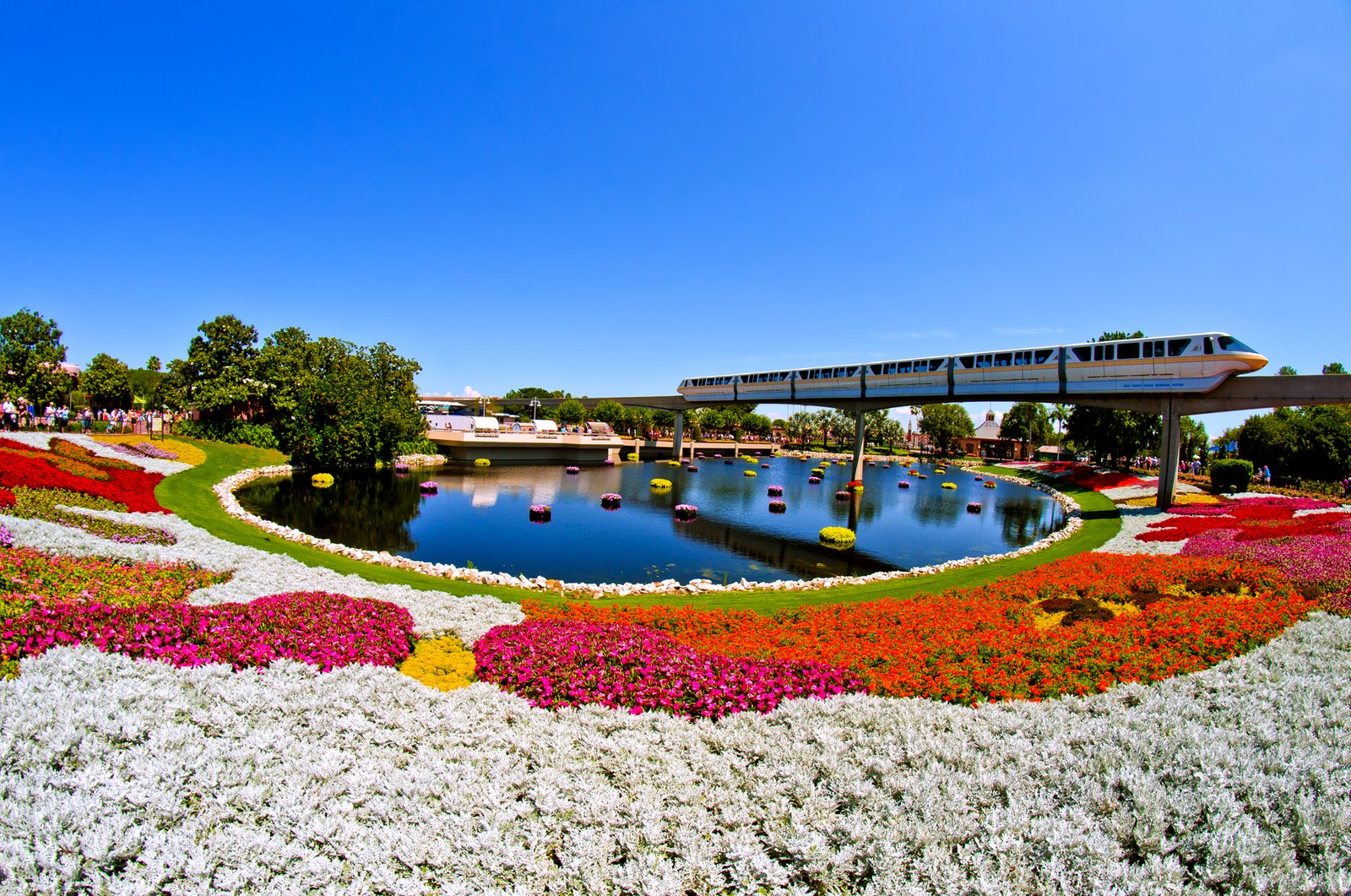 epcot flower & garden festival monorail photo - disney tourist blog